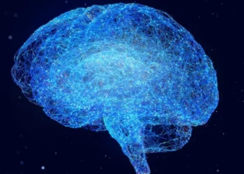 Foto: Yuichiro Chino/ Getty Images