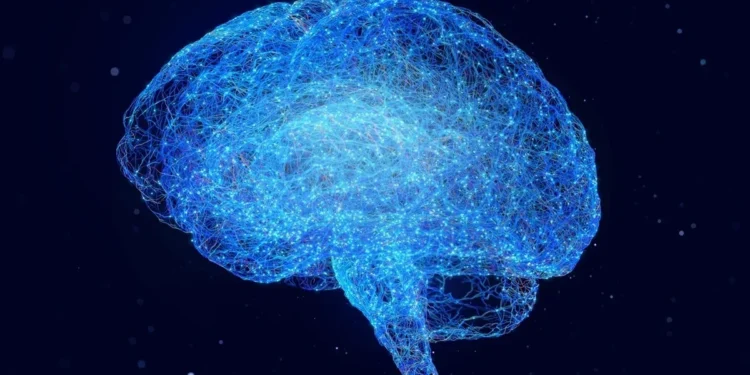 Foto: Yuichiro Chino/ Getty Images