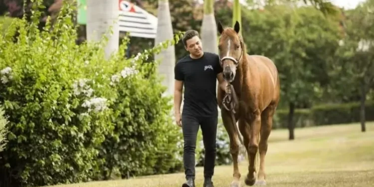 Cantor é dono de cavalos que valem milhões — Foto: Divulgação/ @harasws