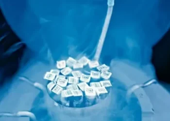 As exportações também avançaram no período analisado — Foto: Globo Rural