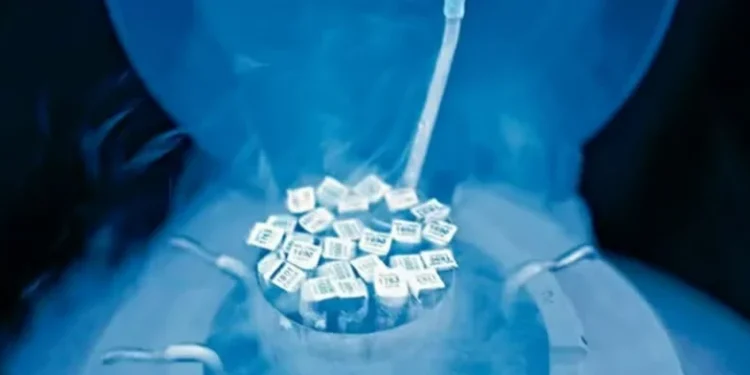 As exportações também avançaram no período analisado — Foto: Globo Rural