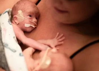 Foto: Jill Lehmann Photography / Getty Images