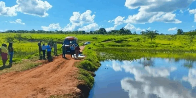 Reprodução/ TopMídia News