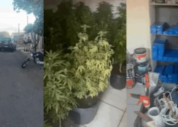 Reprodução/GMC Online