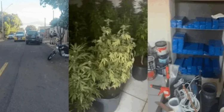 Reprodução/GMC Online