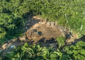 O texto foi aprovado por 402 votos a favor, 250 votos contrários e oito abstenções — Foto: Divulgação/ICV