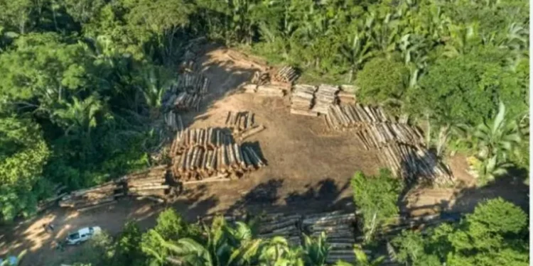 O texto foi aprovado por 402 votos a favor, 250 votos contrários e oito abstenções — Foto: Divulgação/ICV
