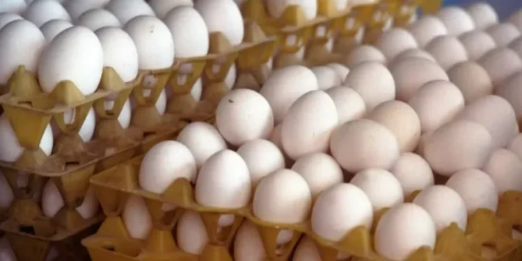 Ovo foi o único produto que ficou menos disponível para o consumior nas gôndolas — Foto: Globo Rural