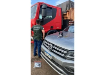 Caminhão e caminhonete utilizados no crime também foram apreendidos. 
Créditos -Fotos -DICOM SSP TO