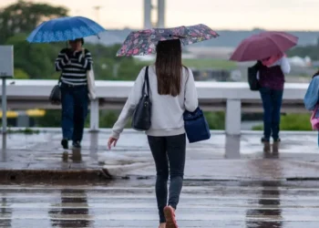 Foto: KEBEC NOGUEIRA/METRÓPOLES @kebecfotografo