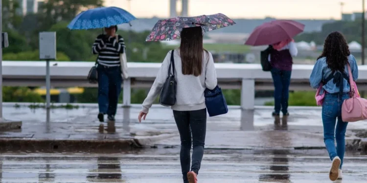 Foto: KEBEC NOGUEIRA/METRÓPOLES @kebecfotografo
