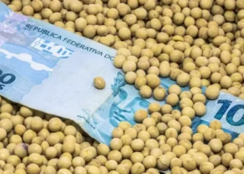 Custo financeiro ainda continuará elevado para o produtor rural no próximo ano — Foto: Getty Images