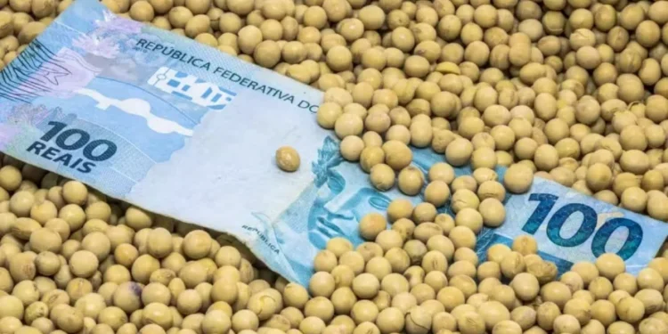 Custo financeiro ainda continuará elevado para o produtor rural no próximo ano — Foto: Getty Images