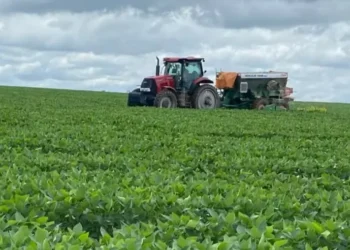 Cenário tende a favorecer a safra de verão, embora haja preocupação com a redução das chuvas no extremo sul do país em dezembro — Foto: Fundação Solidaridad