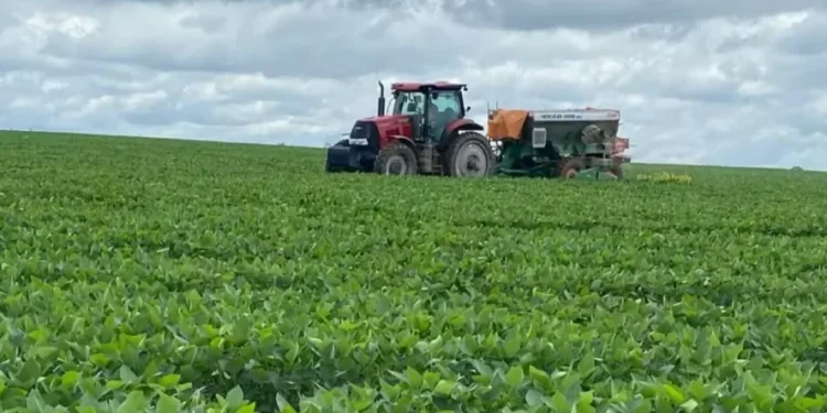 Cenário tende a favorecer a safra de verão, embora haja preocupação com a redução das chuvas no extremo sul do país em dezembro — Foto: Fundação Solidaridad