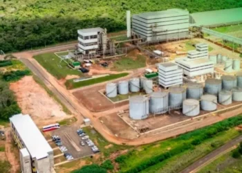 Unidade de biodiesel da União Agroindustrial em Alto Araguaia (MT) conta com capacidade produtiva de 245 milhões de litros por ano — Foto: Fênix Biodiesel/Reprodução