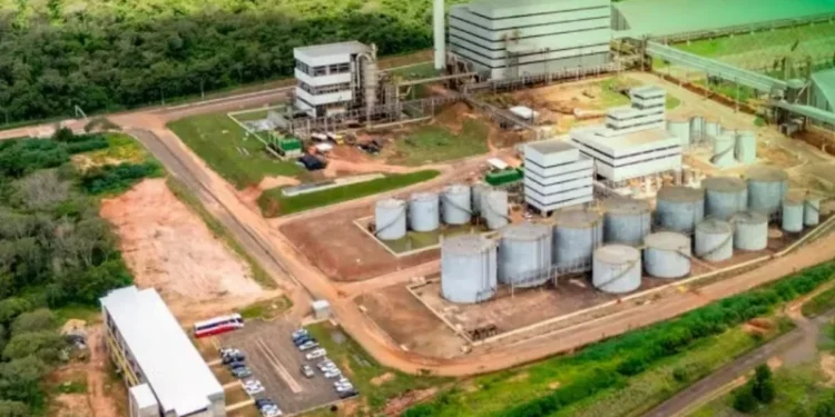 Unidade de biodiesel da União Agroindustrial em Alto Araguaia (MT) conta com capacidade produtiva de 245 milhões de litros por ano — Foto: Fênix Biodiesel/Reprodução