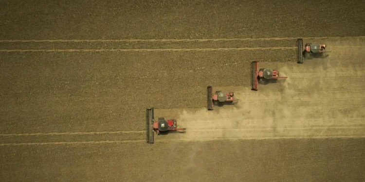 Wenderson Araujo/CNA