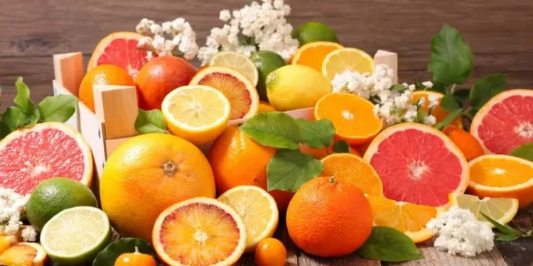 Como deixar frutas cítricas mais saborosas no plantio? GR Responde