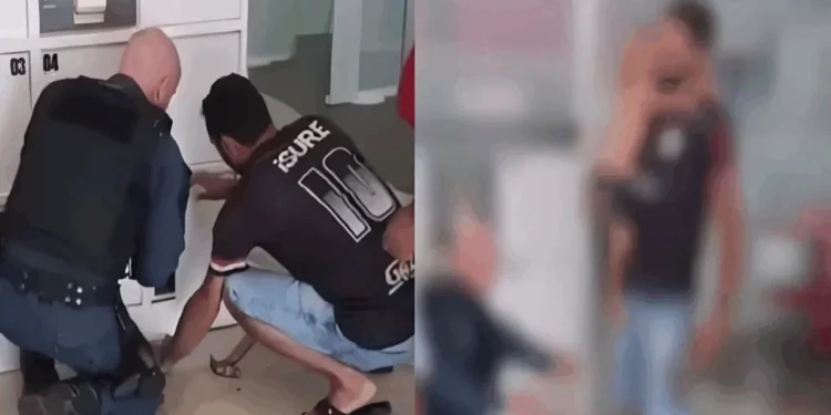 Reprodução/ topmidianews