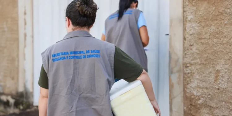 Com estratégia e trabalho contínuo, a Capital mantém a queda expressiva dos indicadores do mosquito, passando de alto risco para nível satisfatório em menos de um ano – Foto: Junior Suzuki