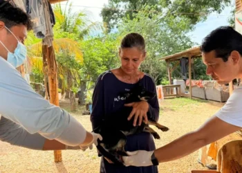 Criando quatro cadelas, Juscelia gostou de receber equipe de vacinação – Foto Gabriela Letrari