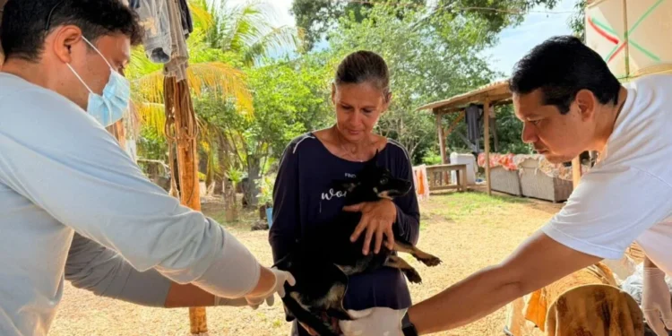 Criando quatro cadelas, Juscelia gostou de receber equipe de vacinação – Foto Gabriela Letrari