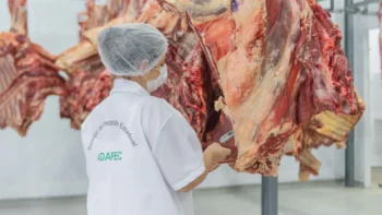 A indústria foi acompanhada e orientada pela Adapec para realizar todas as adequações em sua linha de produção. Foto - Keven Lopes / Governo do Tocantins