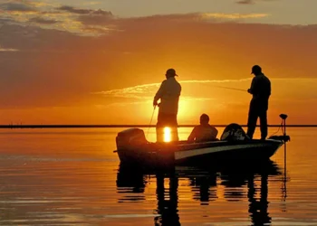 Ação é aberta ao público, especialmente a pescadores, guias, gestores, estudantes, pesquisadores e demais interessados - Foto: Divulgação/Governo do Tocantins