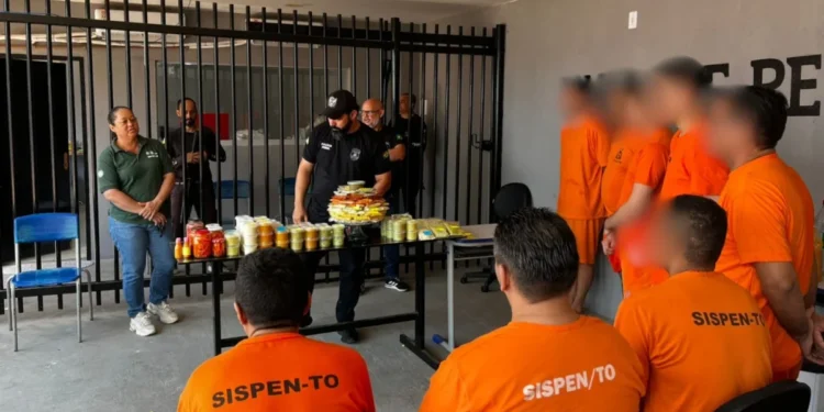 Fotos: Divulgação Seciju/Governo do Tocantins