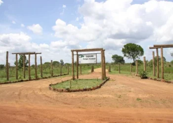 Podem participar órgãos públicos, entidades privadas, organizações da sociedade civil e demais representantes que atuem na área de influência do Parque - Foto: Naturatins/Governo do Tocantins