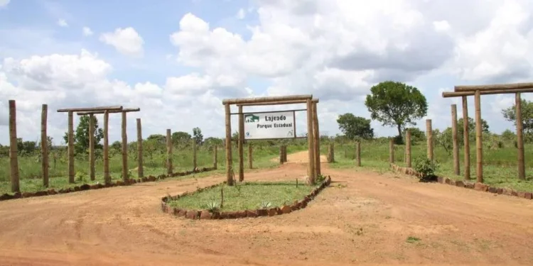 Podem participar órgãos públicos, entidades privadas, organizações da sociedade civil e demais representantes que atuem na área de influência do Parque - Foto: Naturatins/Governo do Tocantins