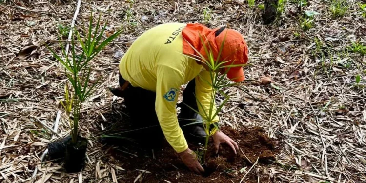 Vice-presidente da Jucetins, Pr. Wesley Lemos, apresenta balanço do estado no ENAJ - Foto: Philipe Ramos/Governo do Tocantins