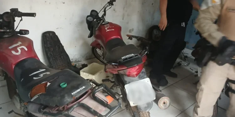 Nos endereços informados, foram encontradas motocicletas já em processo de desmonte - Foto: Divulgação PCTO