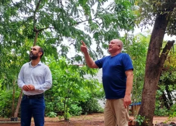 O farmacêutico Carlos Antonio (esq.) e o citotécnico Jovino Konflanz (dir.) são dois dos moradores responsáveis pela organização e limpeza da quadra Arso 34 (309 Sul) – Foto Walter Riedlinger