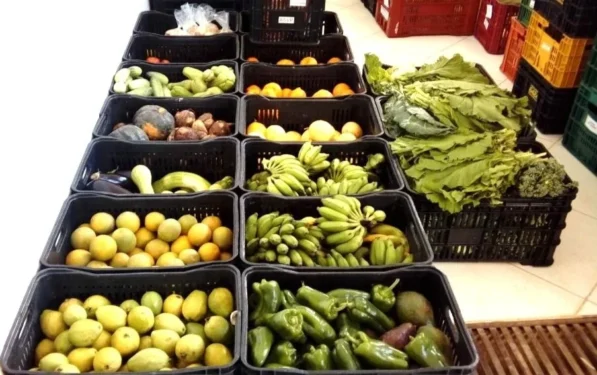 PAA Municipal entregará alimentos para entidades socioassistenciais – Foto Divulgação