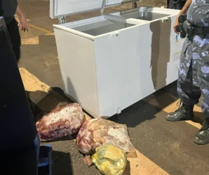 Freezer com produtos da merenda da Escola de Tempo Integral (ETI) Cora Coralina, na Arno 71 (603 Norte) – Foto: Divulgação