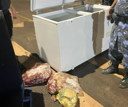 Freezer com produtos da merenda da Escola de Tempo Integral (ETI) Cora Coralina, na Arno 71 (603 Norte) – Foto: Divulgação