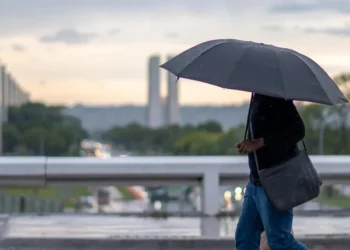Foto: KEBEC NOGUEIRA/METRÓPOLES @kebecfotografo