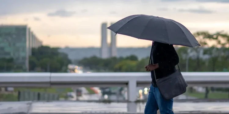 Foto: KEBEC NOGUEIRA/METRÓPOLES @kebecfotografo