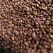O Brasil tende a apresentar um aumento na produção de café na safra 2026/27 — Foto: Wenderson Araujo/CNA