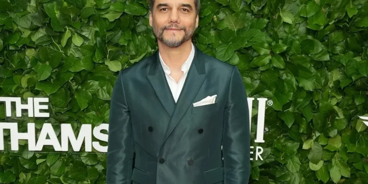 Foto:John Nacion/Variety via Getty Images