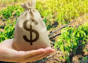 As medidas estão em uma portaria do Ministério do Planejamento e Orçamento publicada nesta terça-feira — Foto: Getty Images