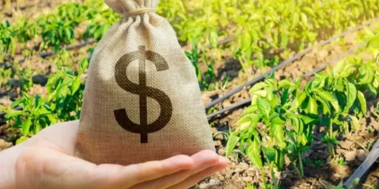 As medidas estão em uma portaria do Ministério do Planejamento e Orçamento publicada nesta terça-feira — Foto: Getty Images