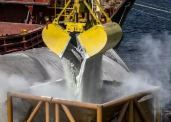 De janeiro a outubro, o Brasil importou 38,3 milhões de toneladas de fertilizantes, aumento de 4,6% frente ao mesmo período de 2024 — Foto: Cláudio Neves/Portos do Paraná