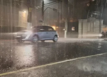 Foto: William Gonçalves/ Metrópoles