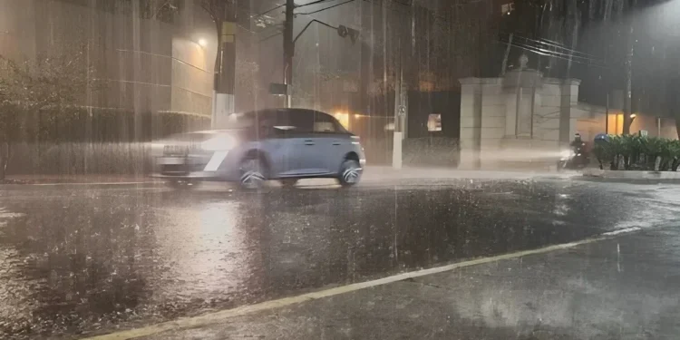 Foto: William Gonçalves/ Metrópoles