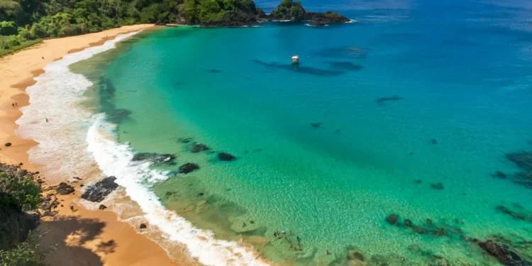 Foto: Reuber Duarte /Getty Images