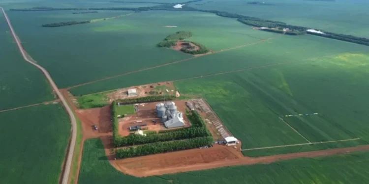 Fazenda Alto da Serra, zona rural de Porto Nacional (TO). (Imagem: Guilherme Soares/Canal Rural BA).