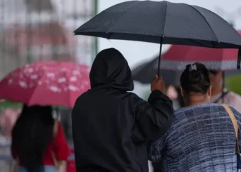 Foto: KEBEC NOGUEIRA/METRÓPOLES @kebecfotografo